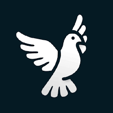 Byedpi APK