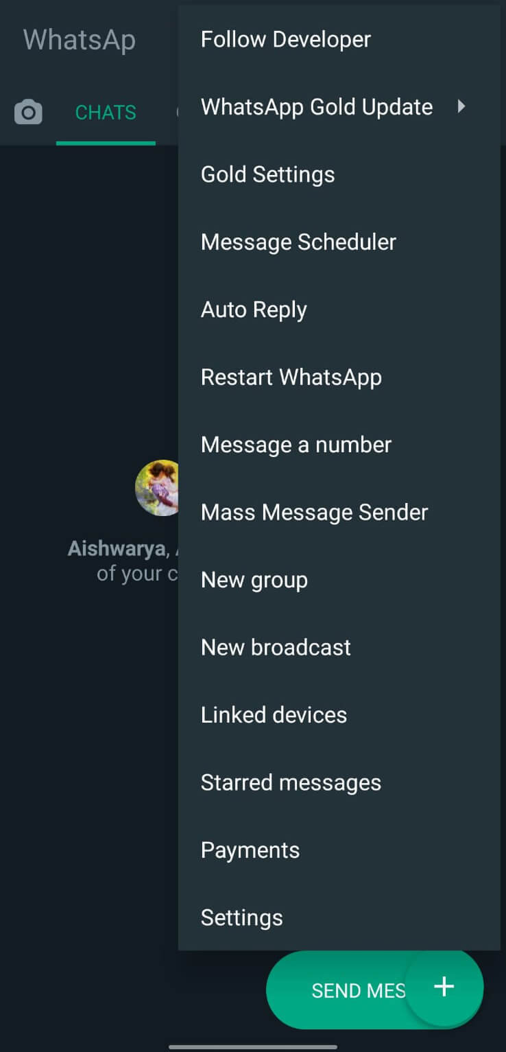 Screenshot WhatsApp Gold APK
