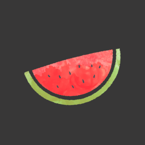 Melon VPN APK (v9.0.219)