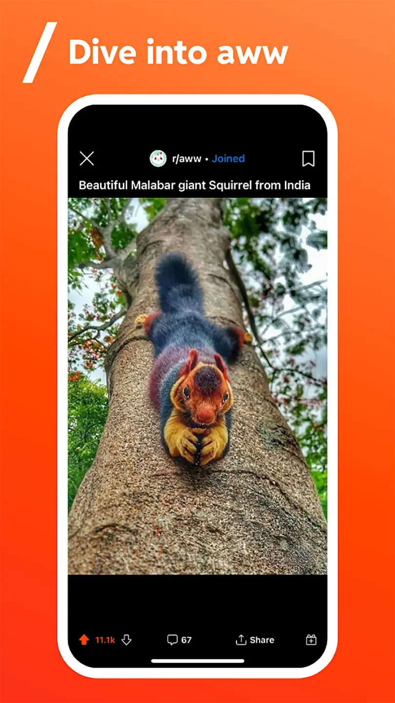 Screenshot Reddit APK v2026.18.0 untuk Android